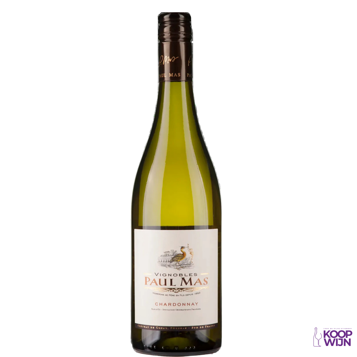 Drùmon Primitivo Organic