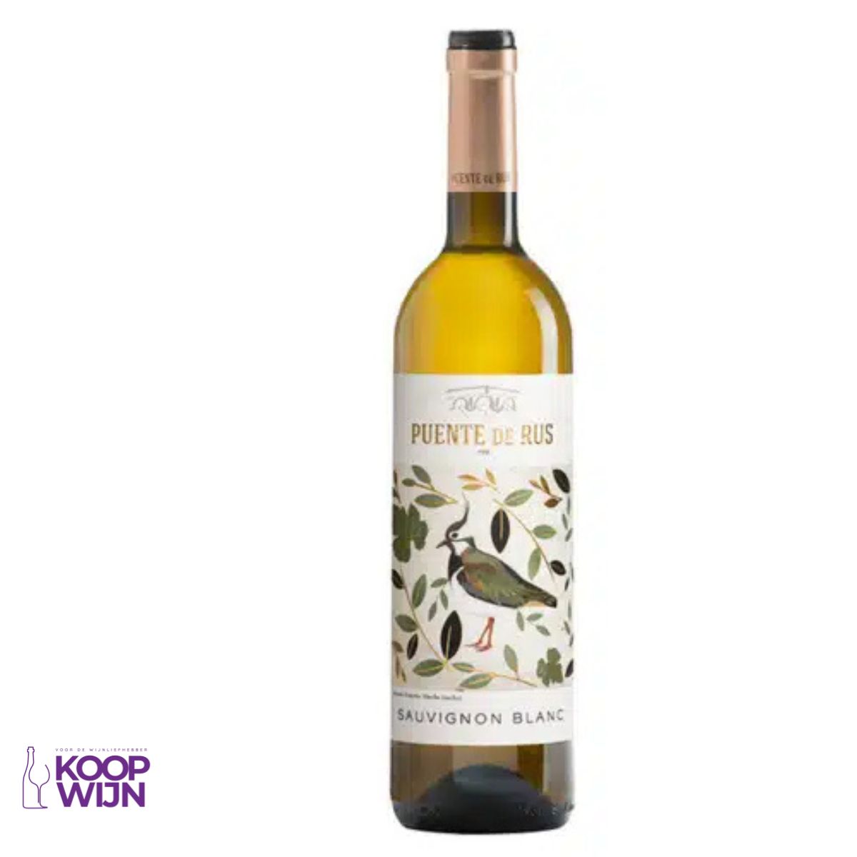 Puente de Rus Sauvignon Blanc