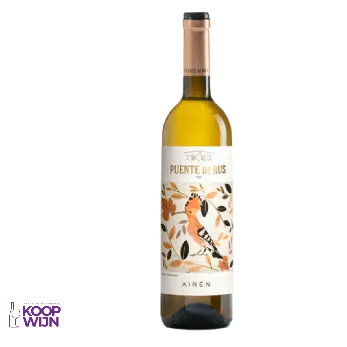 Puente de Rus Airén