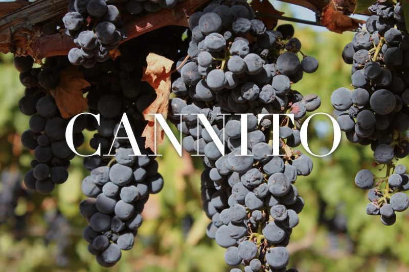 Cannito Rosso Organic