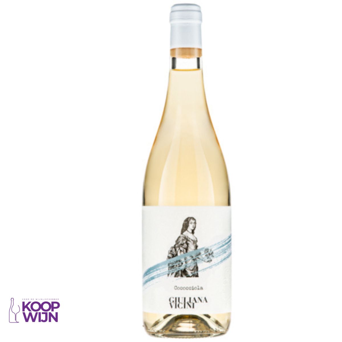 Giuliana Vicini Cococciola