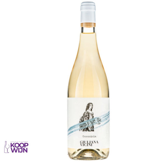 Giuliana Vicini Cococciola