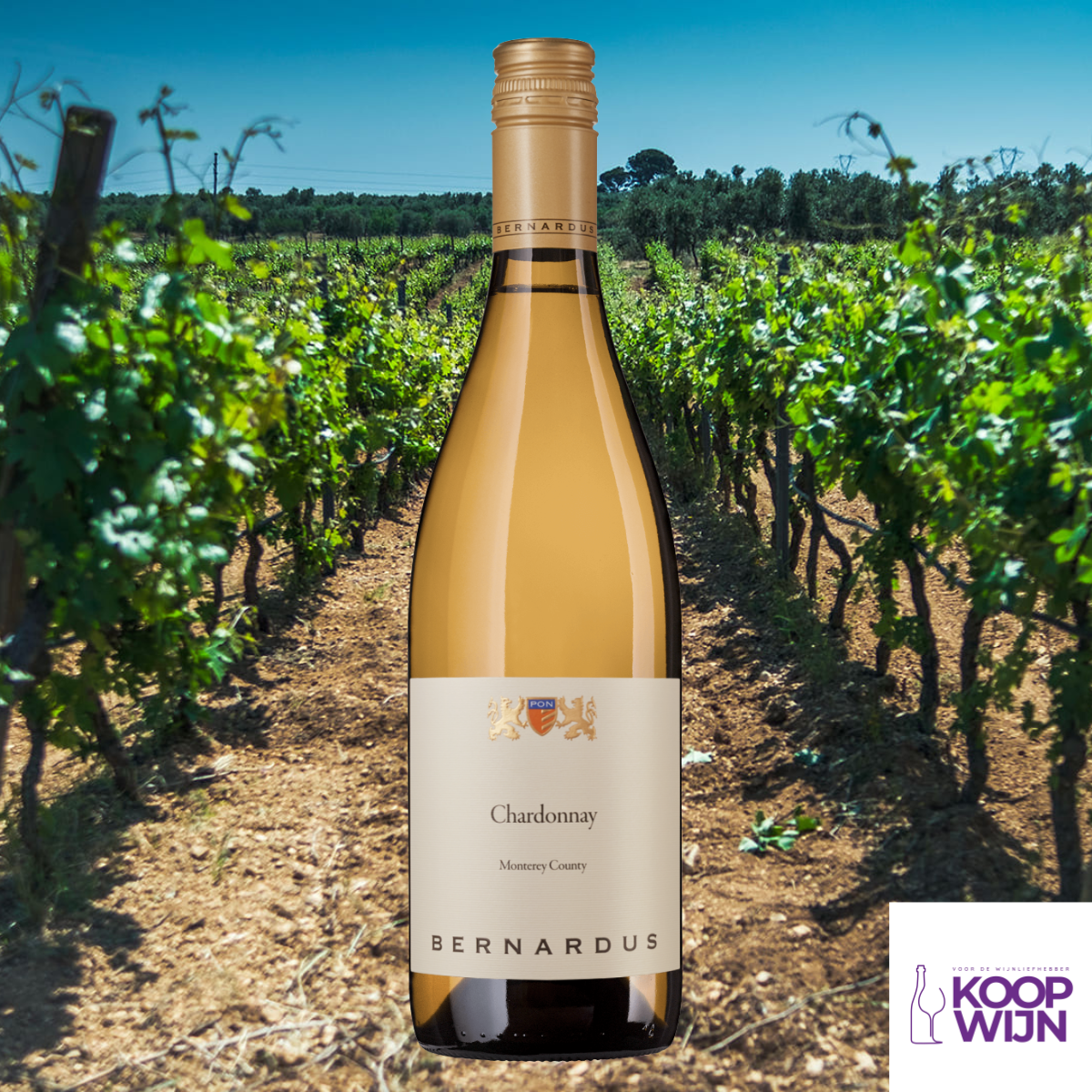 Magnum Bernardus Chardonnay