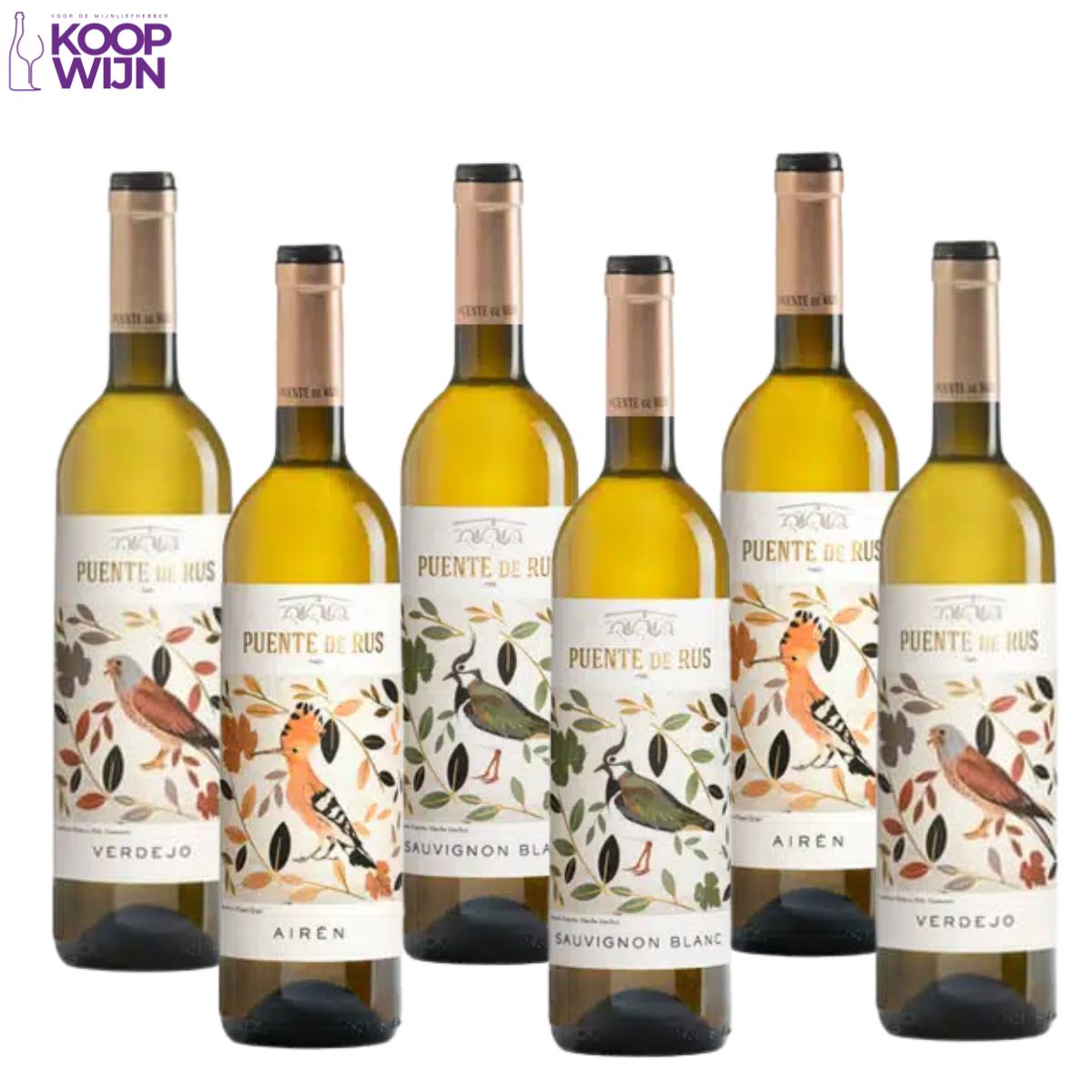 Puente de Rus Wijnbox Wit (3x2 flessen)