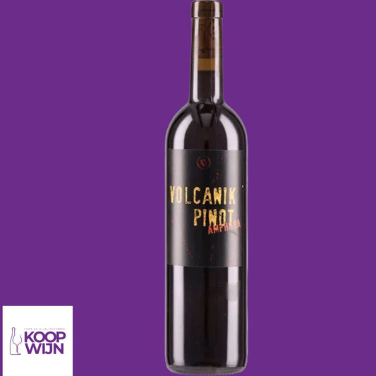 Domaine Arsac Pinot Amphora