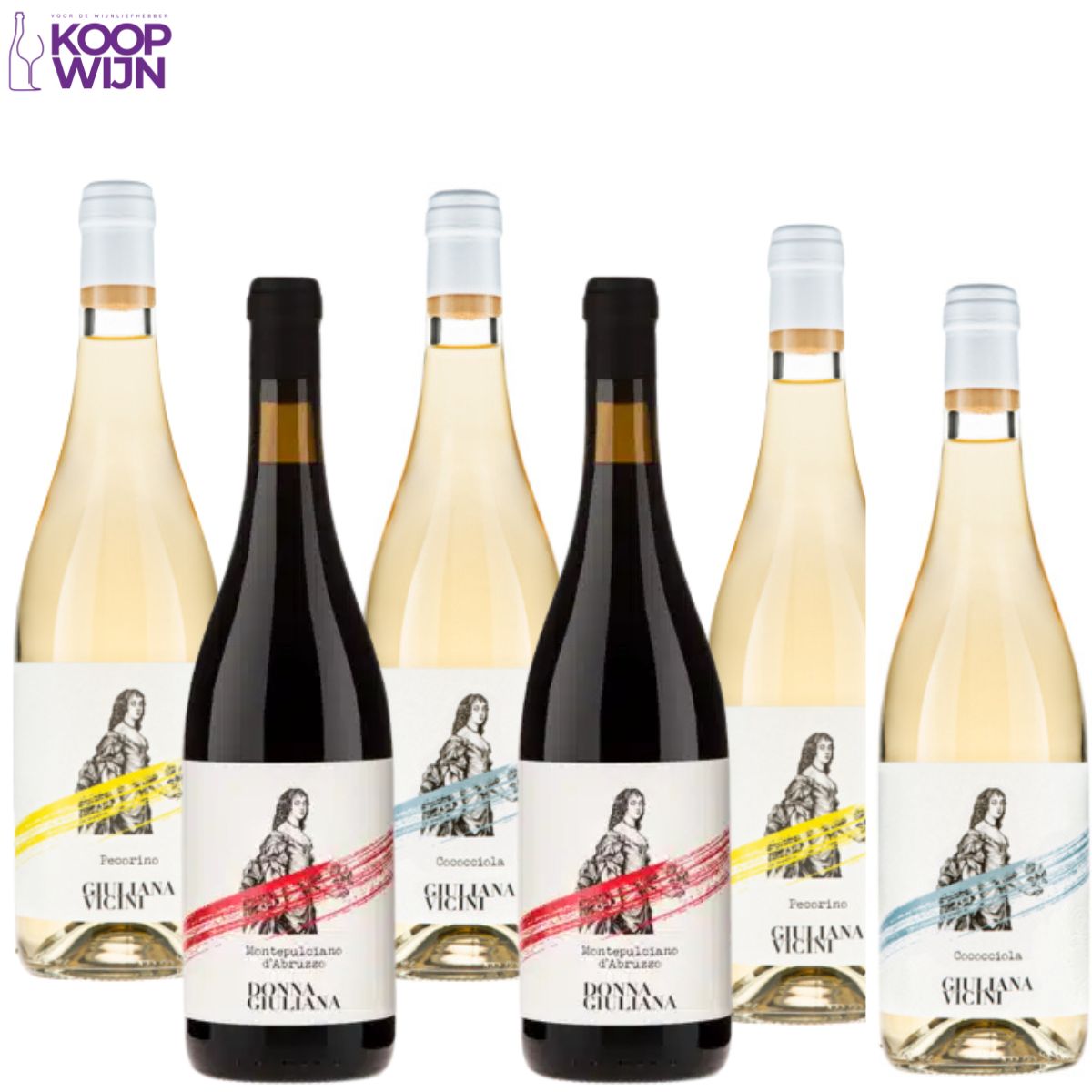 Giuliana Vicini Heritage Box (6 flessen)